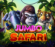 Jumbo Safari